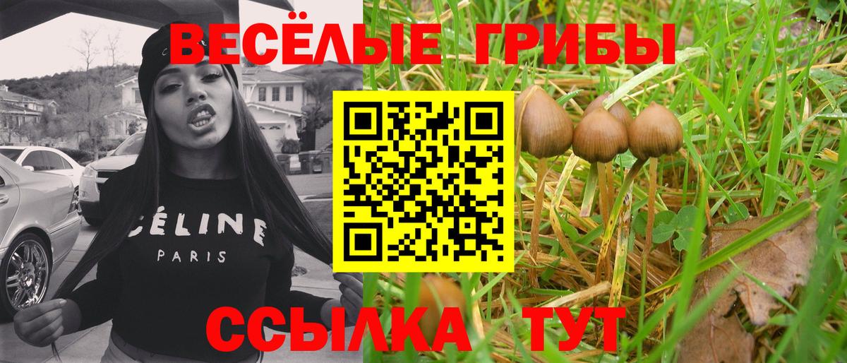 Псилоцибиновые грибы ЛСД  Вход с VPN  купить   Киров 