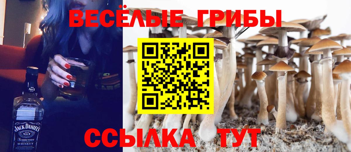 Псилоцибиновые грибы мухоморы Киров