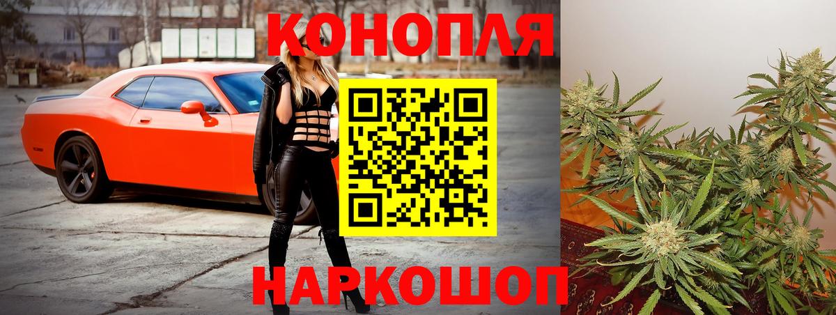 Шишки марихуана OG Kush Киров